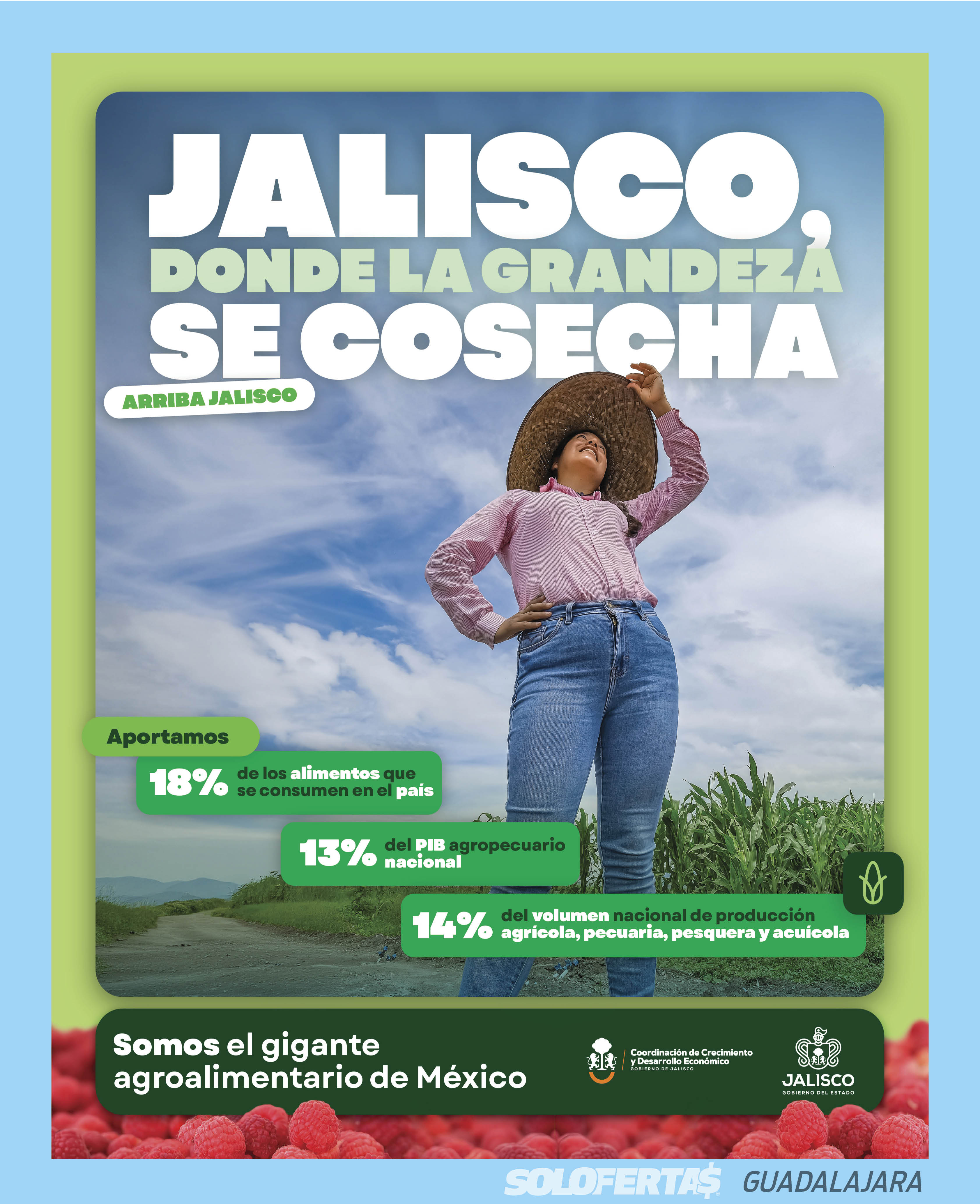 Oferta en Guadalajara