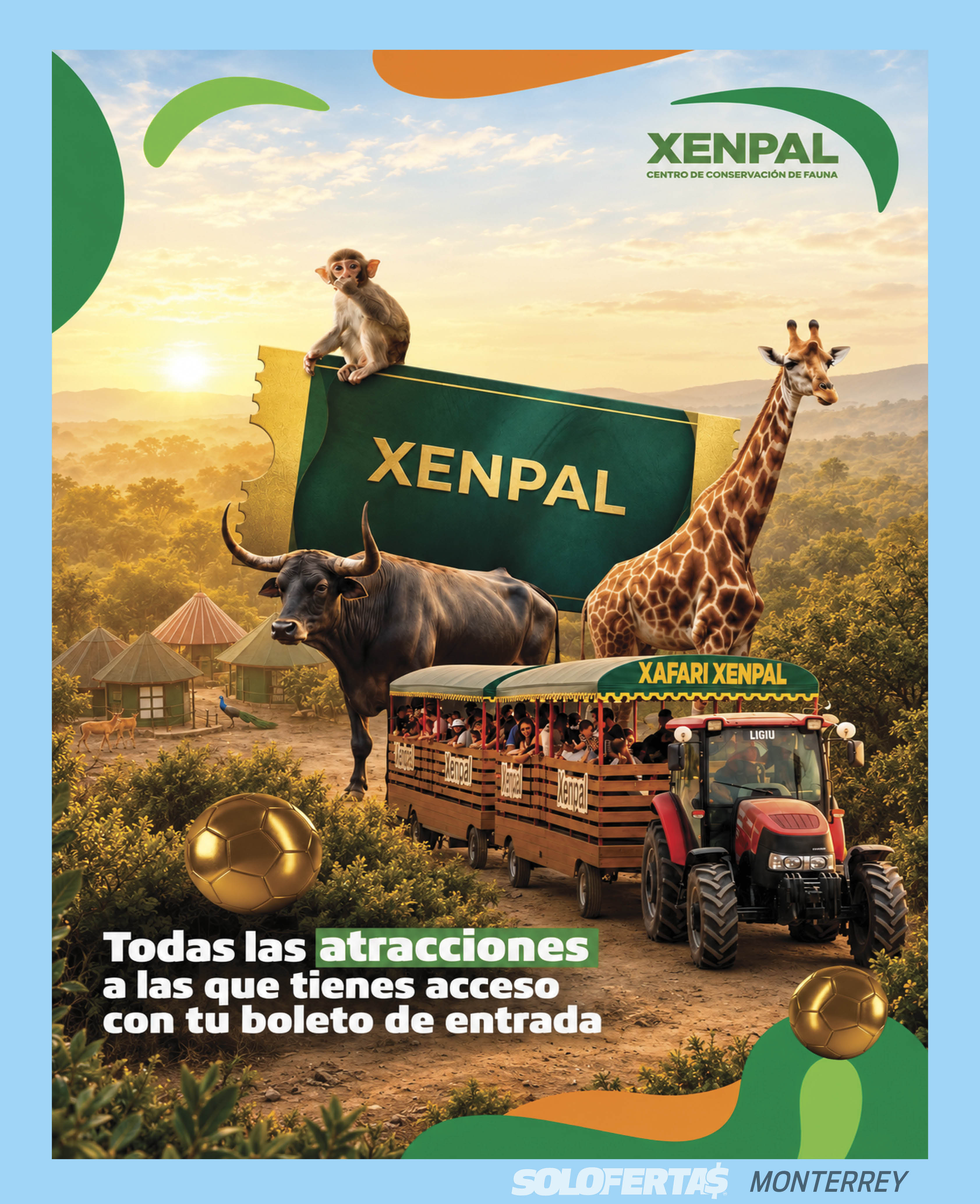 Oferta en Monterrey